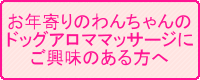 お年寄りのわんちゃんのドッグアロママッサージにご興味のある方へ