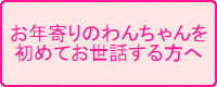 お年寄りのわんちゃんを初めてお世話する方へ