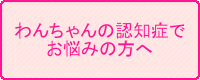 わんちゃんの認知症でお悩みの方へ