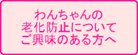 わんちゃんの老化防止についてご興味のある方へ