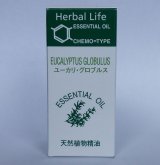 画像: ユーカリ・グロブルス  3ml